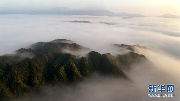 7624998025040275057 7624998025040275057