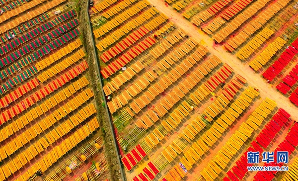 1120720650_14908295600751n 1120720650_14908295600751n