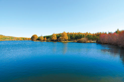 10920215_327622 10920215_327622