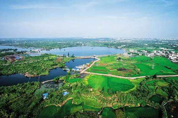 海南湿地遭蚕食2 海南湿地遭蚕食2