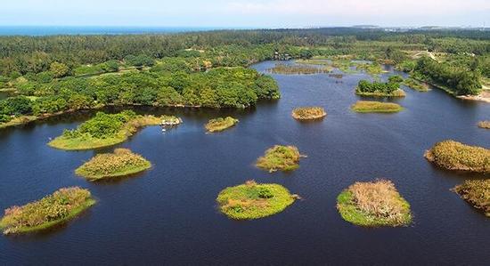 海南湿地遭蚕食3 海南湿地遭蚕食3