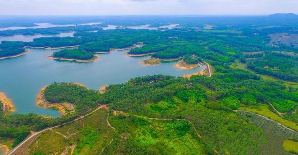 海南湿地遭蚕食4 海南湿地遭蚕食4
