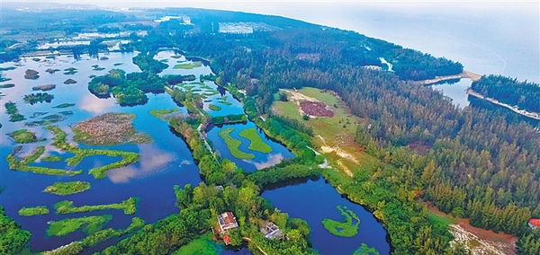 1122171322_15143334885151n 1122171322_15143334885151n