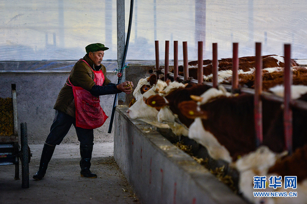 1122162925_15142723154271n 1122162925_15142723154271n