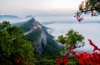 134942577_14508275905911n 134942577_14508275905911n