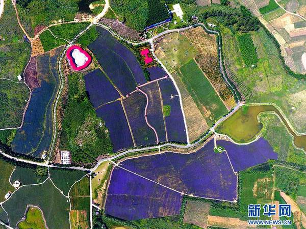 1122188285_15145677801521n 1122188285_15145677801521n