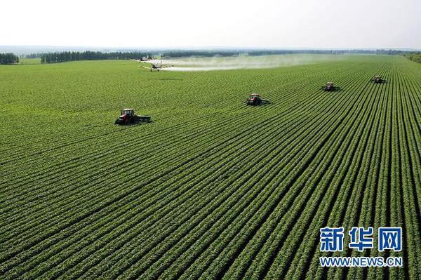 2078905_600x600 2078905_600x600