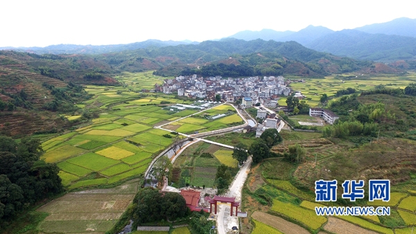 64006a740056196ad1b012 64006a740056196ad1b012