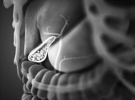 C2018-01-03zx601_P_1_490_510_1230_1058 C2018-01-03zx601_P_1_490_510_1230_1058