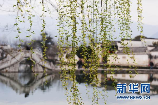 Img304557792 Img304557792