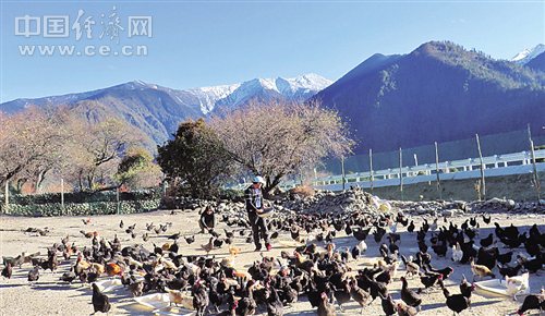 W020180103315118248538 W020180103315118248538