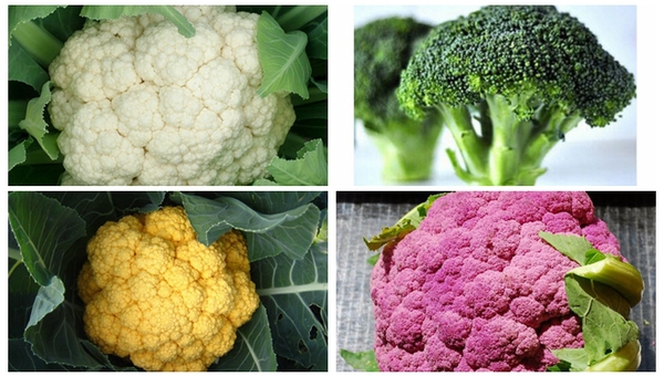 MAIN201801030958347319541749992 MAIN201801030958347319541749992