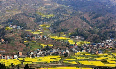 W020180103588997766078 W020180103588997766078