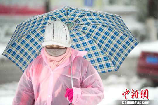 暴雪中的行人?！≌沛?摄