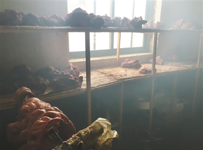 1122222971_15153673488501n 1122222971_15153673488501n