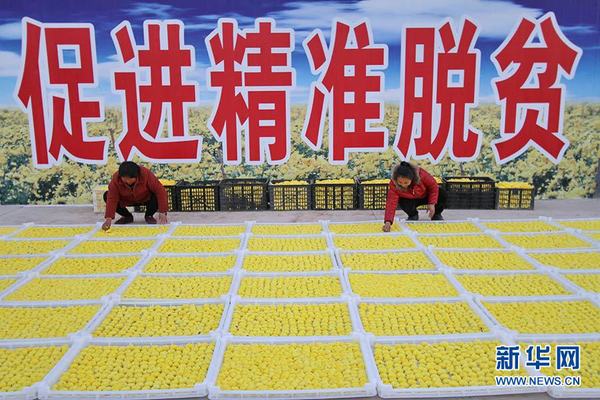 2078984_600x600 2078984_600x600