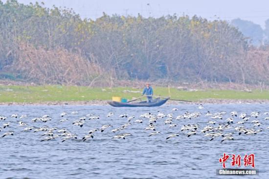 6b623179ca8f445d89104303b92c0724 6b623179ca8f445d89104303b92c0724