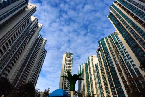 <a target='_blank' href='http://www.chinanews.com/'>中新社</a>发 周长国 摄 <a target='_blank' href='http://www.chinanews.com/'>中新社</a>发 周长国 摄