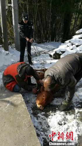 图为现场。平武警方提供