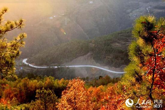 00e04c432a7115f4aab74c 00e04c432a7115f4aab74c