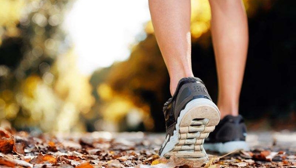 MAIN201801120939581204506010744 MAIN201801120939581204506010744