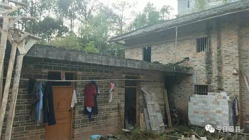 贫困户脱贫后举牌上街 领完免费猪苗还想领母牛