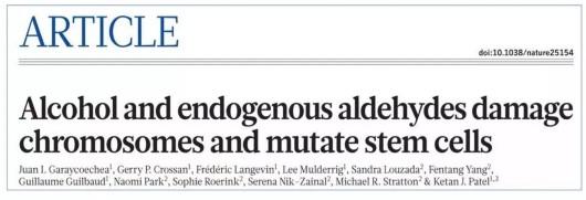 　　图片说明：很多文章都呼吁大家要少喝酒，无论红酒、白酒、啤酒、药酒。