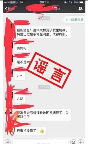 网传重庆嘉华大桥隧道内发生枪战 官方辟谣:假的
