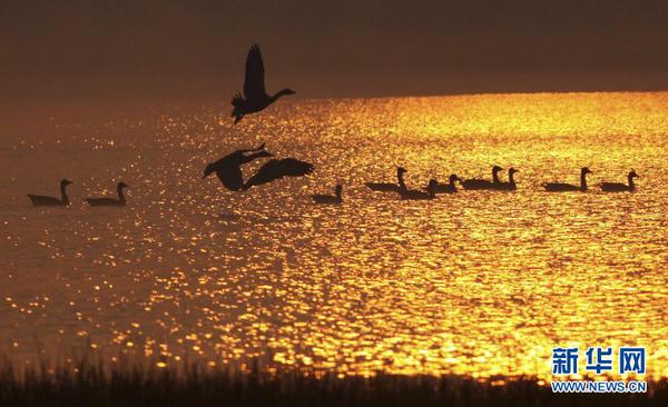 Img325443131 Img325443131