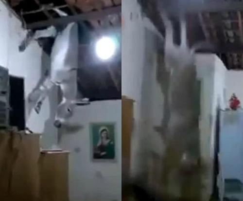 驴从天降！巴西居民屋顶掉下野驴惊呆众人