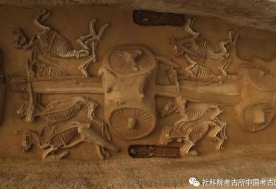 二号车马坑二、三号车（马头向东）