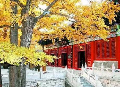 QQ截图20180119084617 QQ截图20180119084617