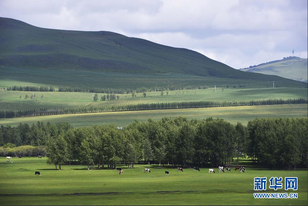 QQ截图20180122081433 QQ截图20180122081433