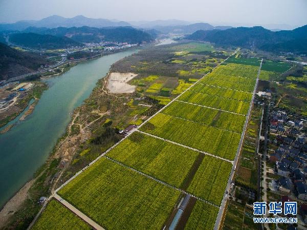 00261872547f167b655c1f 00261872547f167b655c1f