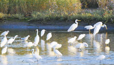 1516559227624_1 1516559227624_1