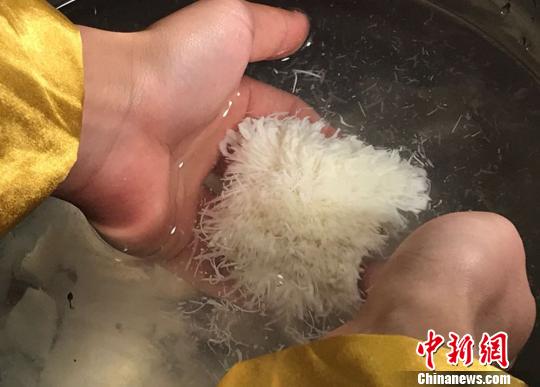 “菊花豆腐”就在水盆中“绽放”开来?！〉讼?摄