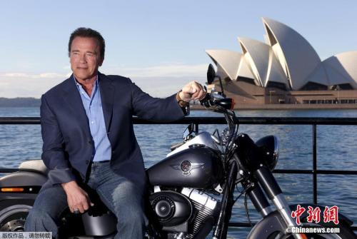 资料图：施瓦辛格。