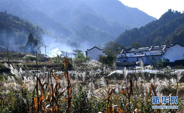 W020171026276899001248 W020171026276899001248