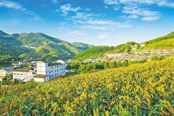 1122304441_15167513194291n 1122304441_15167513194291n