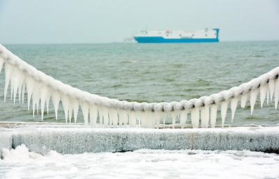 1516731735928_1 1516731735928_1