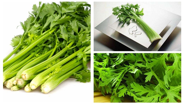 MAIN201801230938280331568436015 MAIN201801230938280331568436015