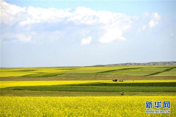 InfoArticle_33192_4 InfoArticle_33192_4