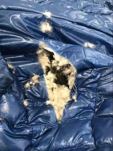 中国游客日本机场遭软禁？大使馆还原事件真相