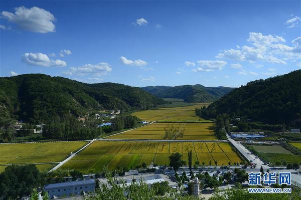 1122329406_15171298761791n 1122329406_15171298761791n