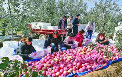 bd8cff24d0e84a138cc732166d23cf28 bd8cff24d0e84a138cc732166d23cf28