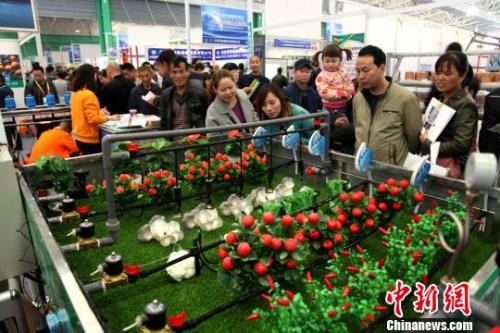 f6f000dc5de040539c0862571f1fdbfb f6f000dc5de040539c0862571f1fdbfb