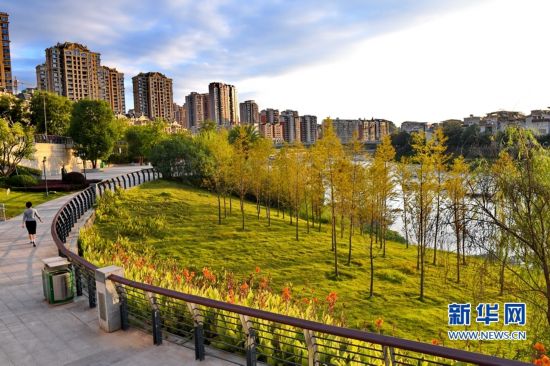 7464159998493609526 7464159998493609526