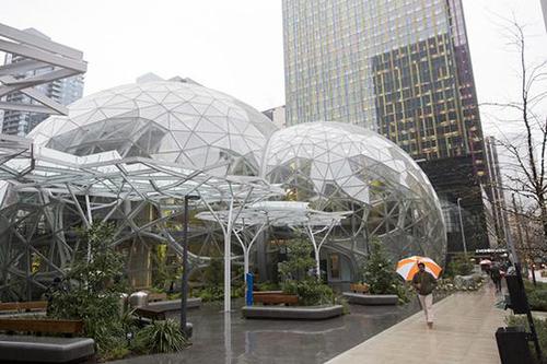 豪砸40亿美元！亚马逊总部扩建了一片“热带雨林”