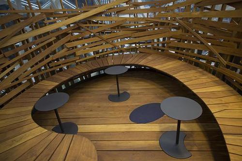 豪砸40亿美元！亚马逊总部扩建了一片“热带雨林”