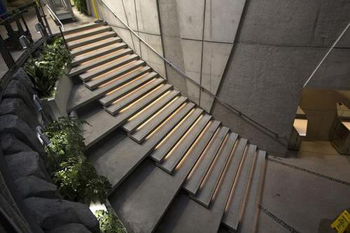 豪砸40亿美元！亚马逊总部扩建了一片“热带雨林”